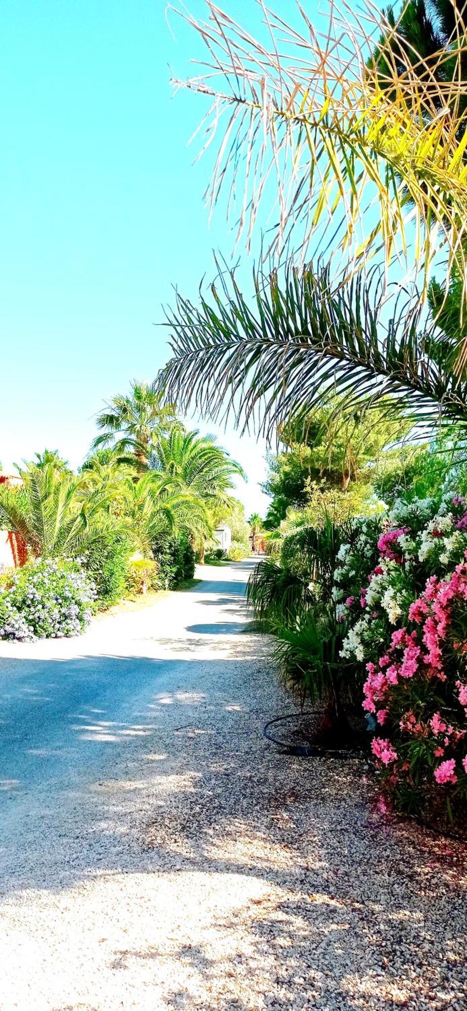 Happymobilhome Argeles-Sur-Mer -Plage A 500M- Camping 4 Etoiles Del Mar Exteriör bild